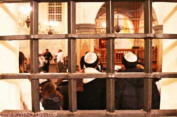 IMG_ (10367)